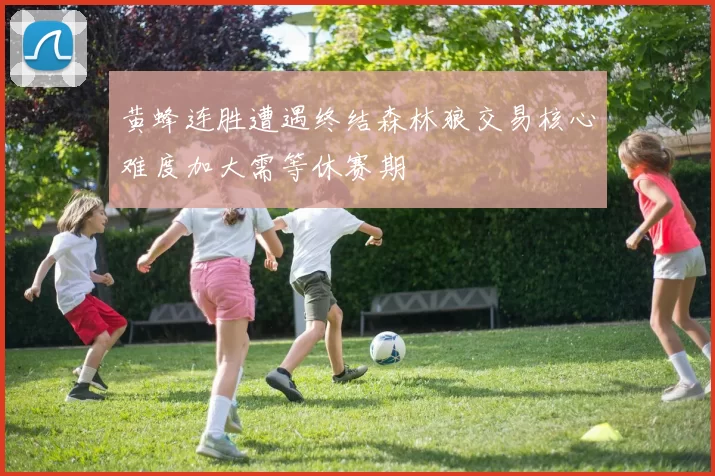 黄蜂连胜遭遇终结森林狼交易核心难度加大需等休赛期